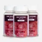 CBD Gummies Skovbær 3for2